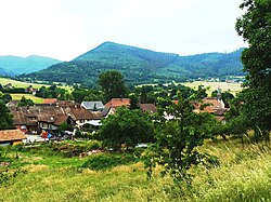 Bassemberg 071